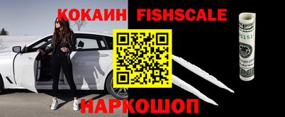 jwh Новозыбков