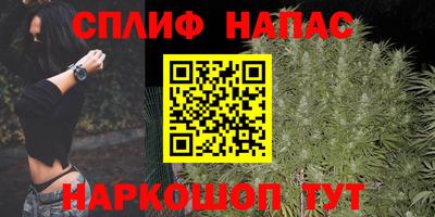 jwh Новозыбков