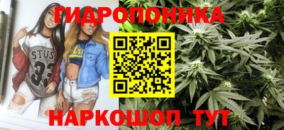 гидропоника Новодвинск