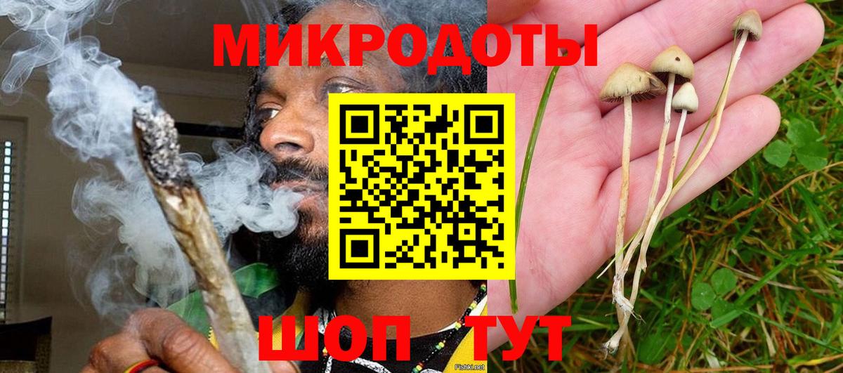 Сальск  Псилоцибиновые грибы ЛСД  цены   Вход с VPN 